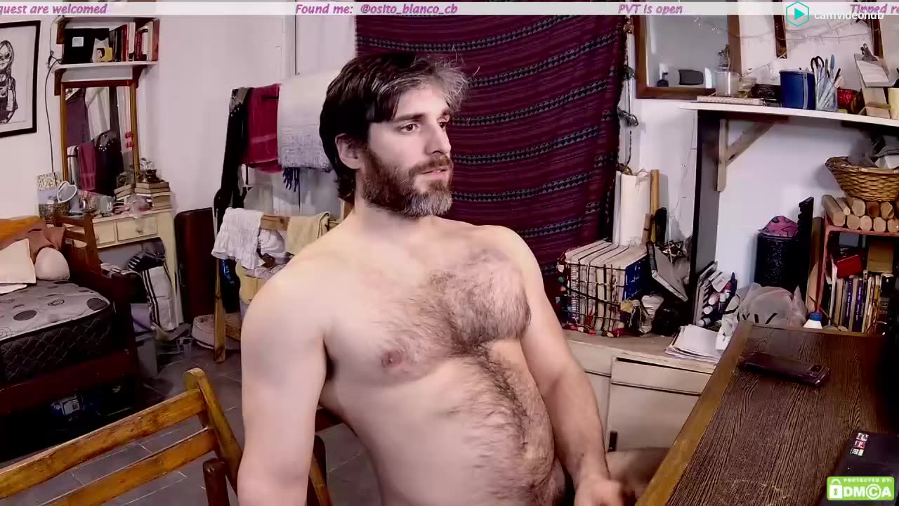 osito_blanco