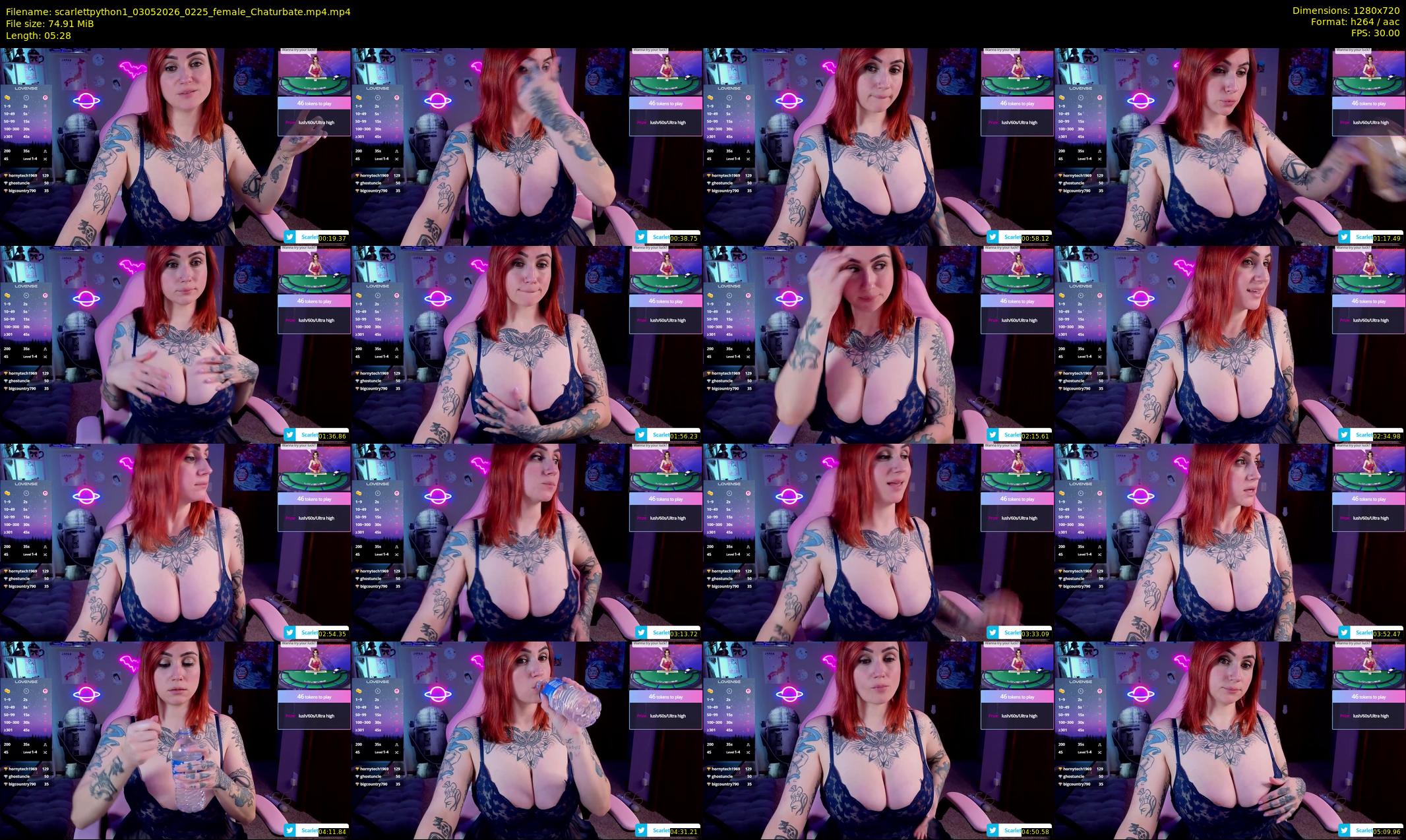 scarlettpython1 — Chaturbate preview 2026-05-03
