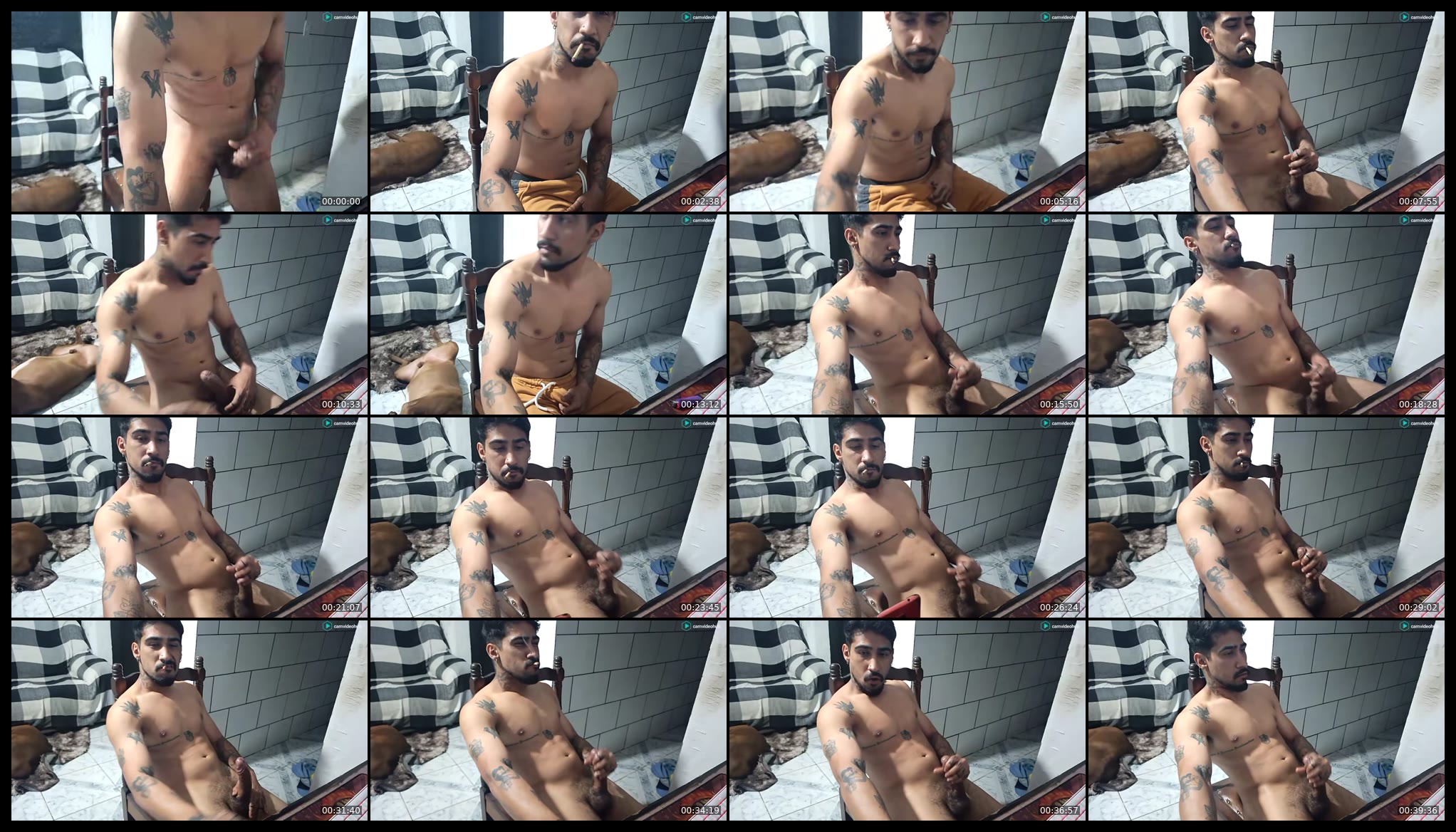 dmacedo96 — Chaturbate preview 2026-08-01